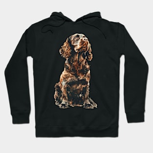 American Water Spaniel Hoodie